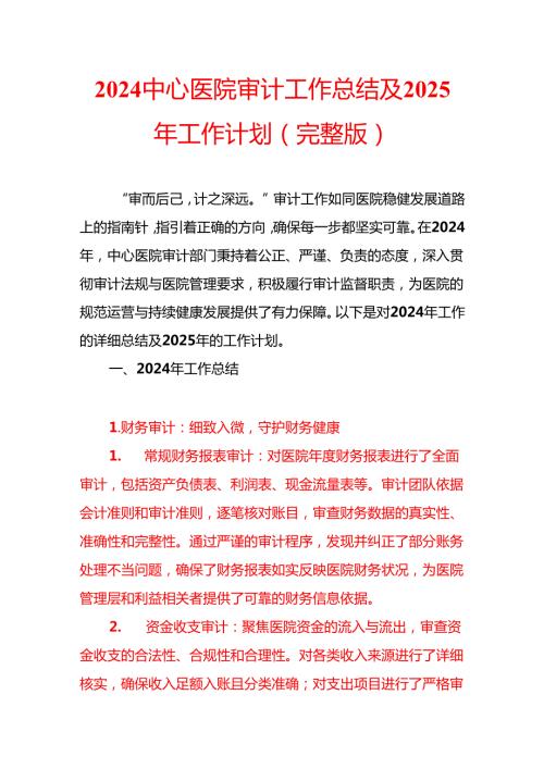 2024中心医院审计工作总结及2025年工作计划（完整版）.docx