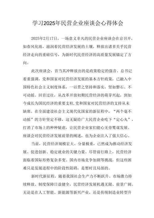 2025年私营企业学习民营企业座谈会个人心得感悟 汇编12份.docx