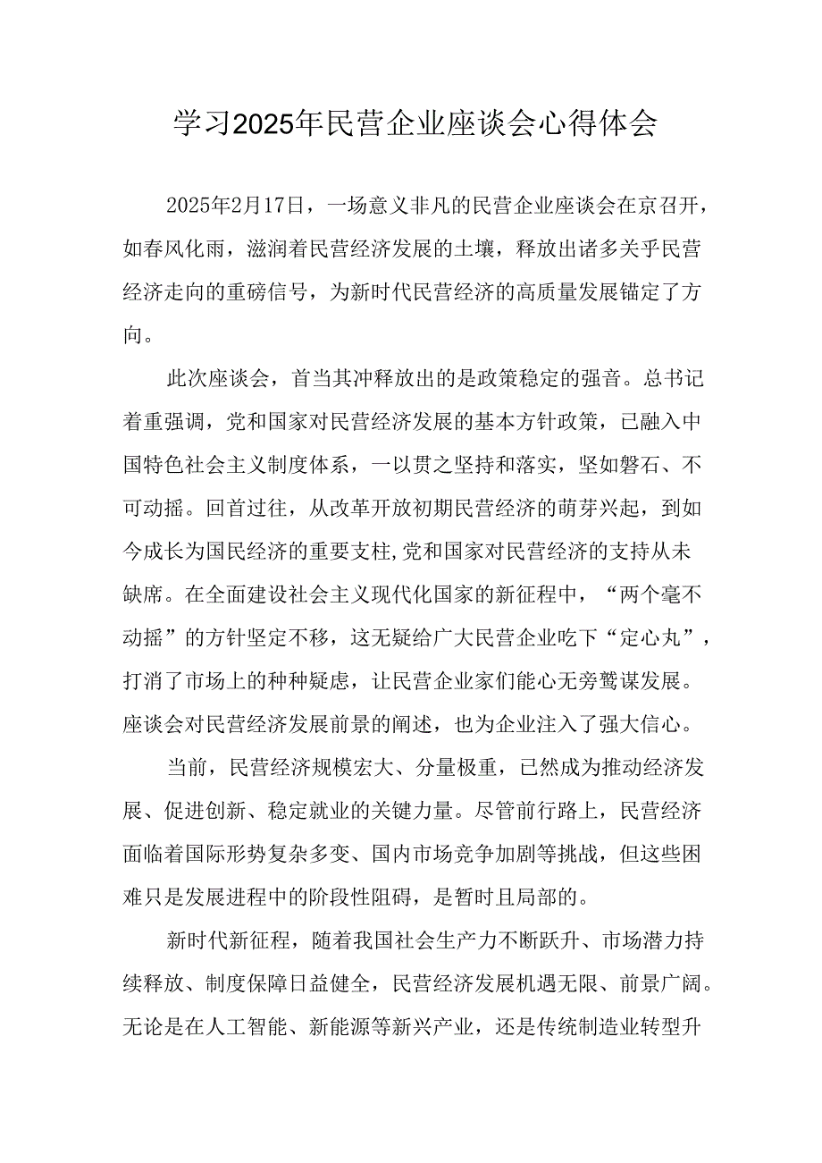 2025年私营企业学习民营企业座谈会个人心得感悟 汇编12份.docx_第1页