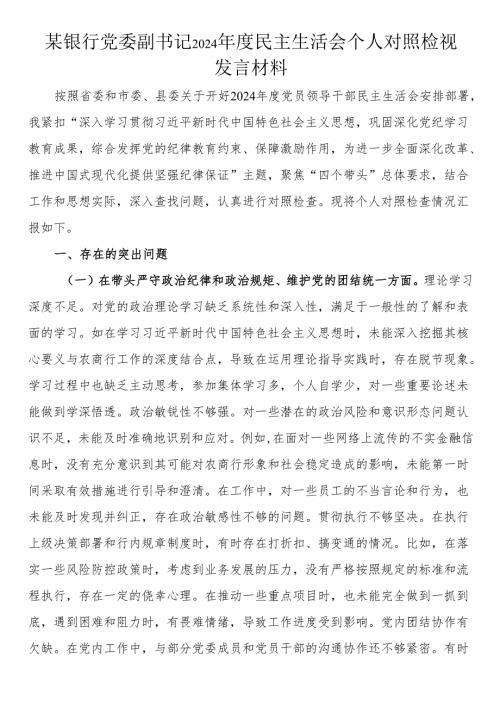银行党委副书记2024民主生活会个人对照检视发言材料.docx