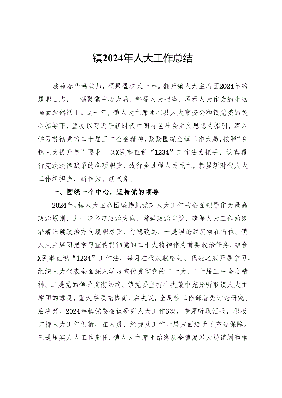 镇 2024 年人大工作总结.docx_第1页