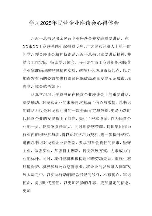 2025年私营企业学习《民营企业座谈会》个人心得体会(2).docx