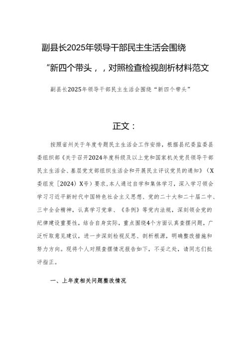 副县长2025年领导干部民主生活会围绕“新四个带头”对照检查检视剖析材料范文.docx