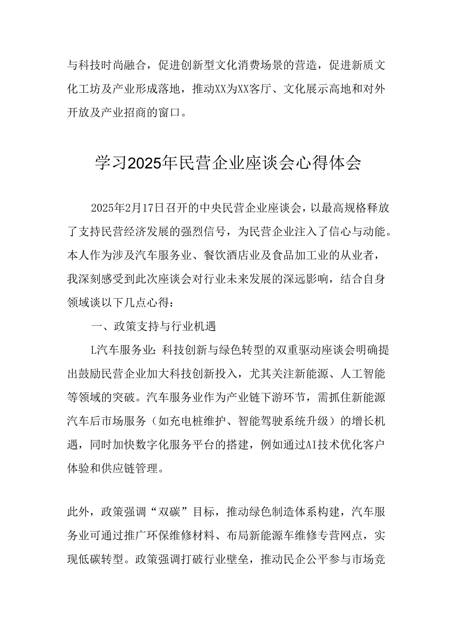民营企业2025年学习《民营企业座谈会》个人心得感悟.docx_第3页