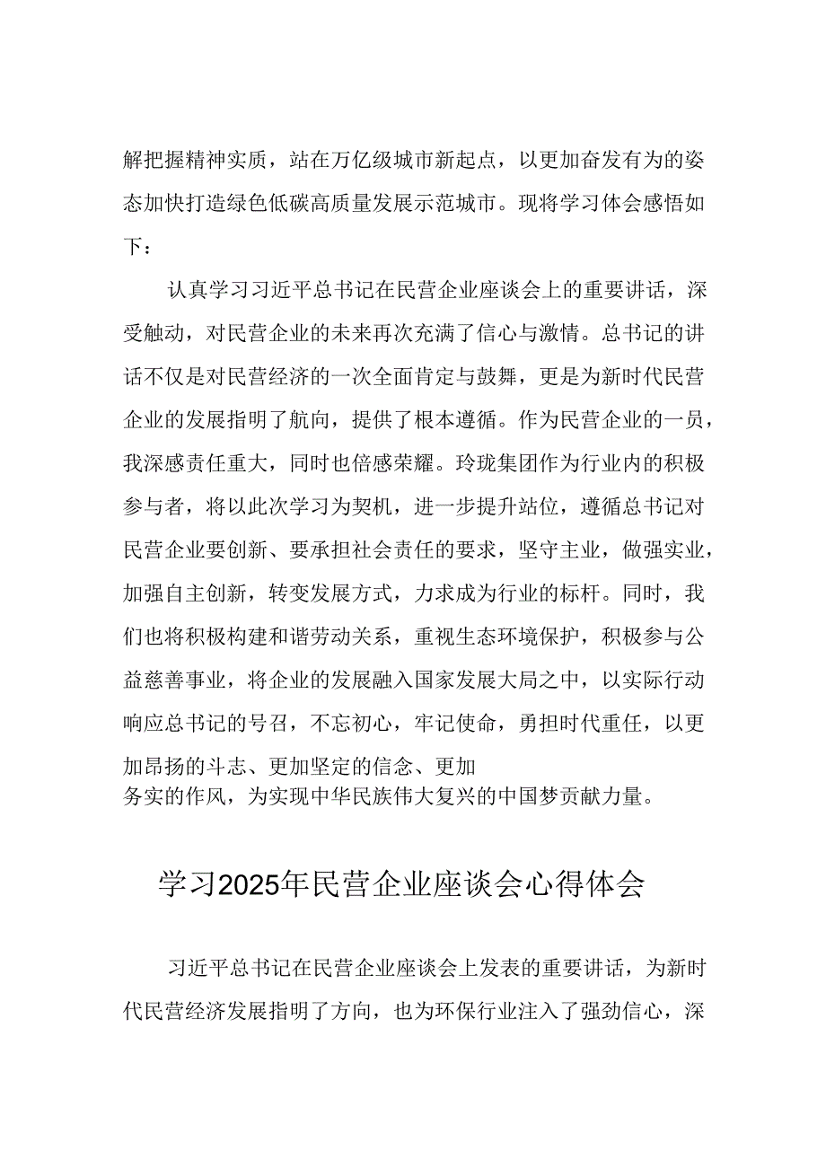 民营企业2025年学习《民营企业座谈会》个人心得感悟 （4份）82.docx_第2页