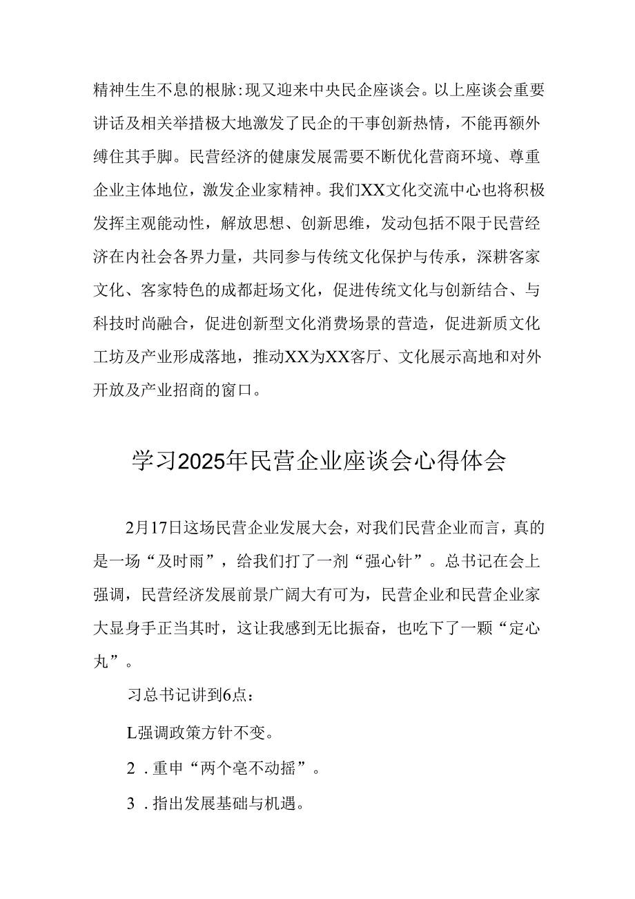 民营企业2025年学习《民营企业座谈会》个人心得感悟 （5份）69(1).docx_第3页