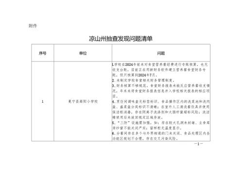 凉山州抽查发现问题清单.docx