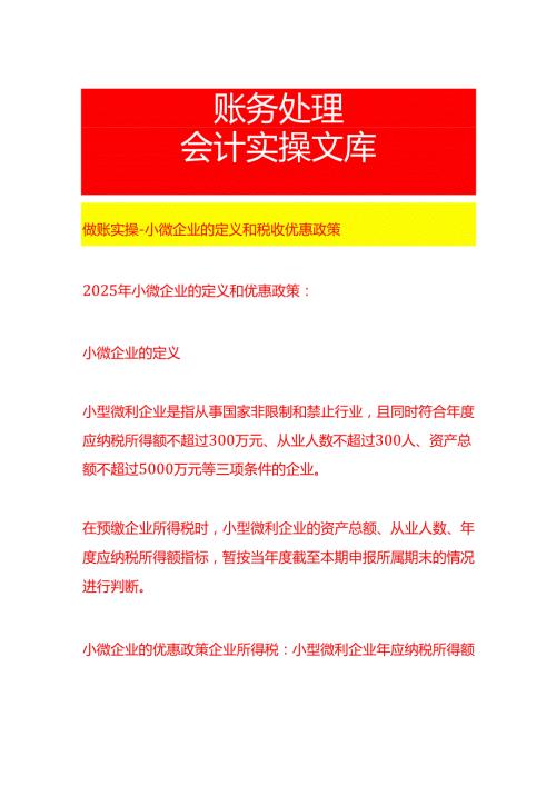 做账实操小微企业的定义和税收优惠政策.docx