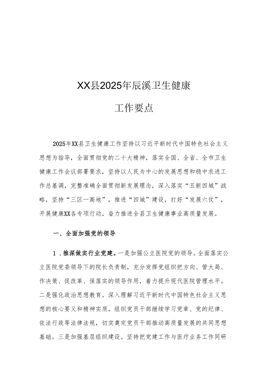 XX县2025年辰溪卫生健康工作要点.docx_第1页