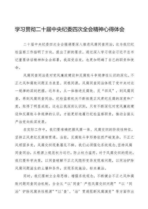 纪检干部学习贯彻中央纪委二十四次全会精神的心得感悟十篇.docx