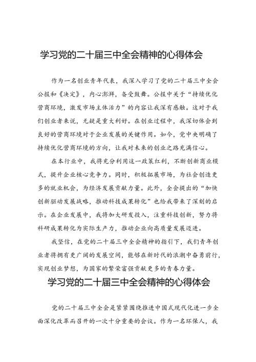 关于党的二十三中全会精神最新版心得体会发言稿28篇.docx