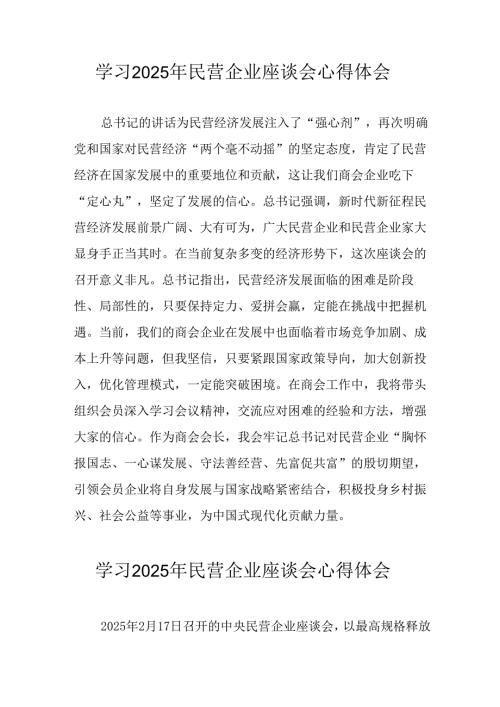 2025年私营企业学习民营企业座谈会个人心得感悟 （合计12份）.docx