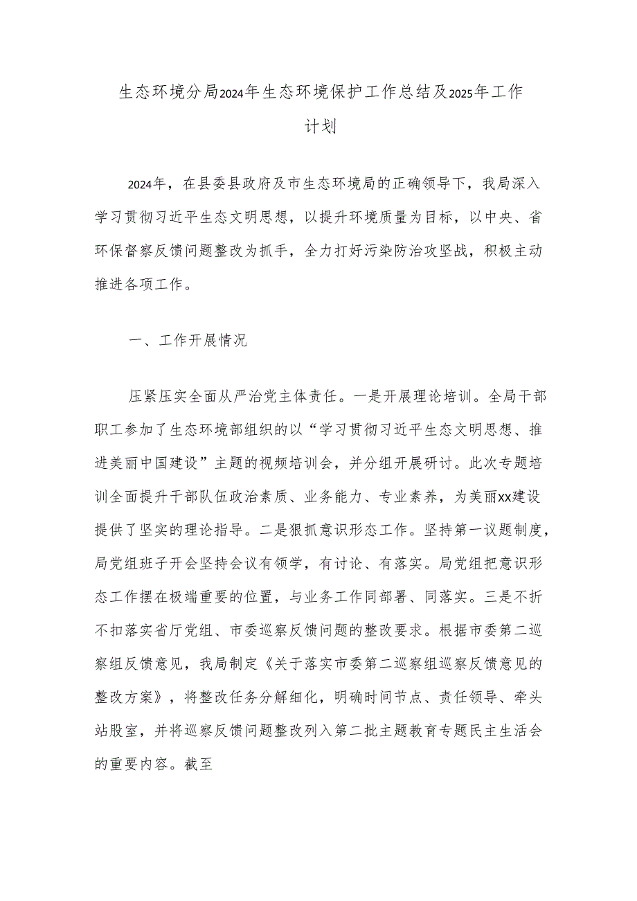 生态环境分局2024年生态环境保护工作总结及2025年工作计划.docx_第1页