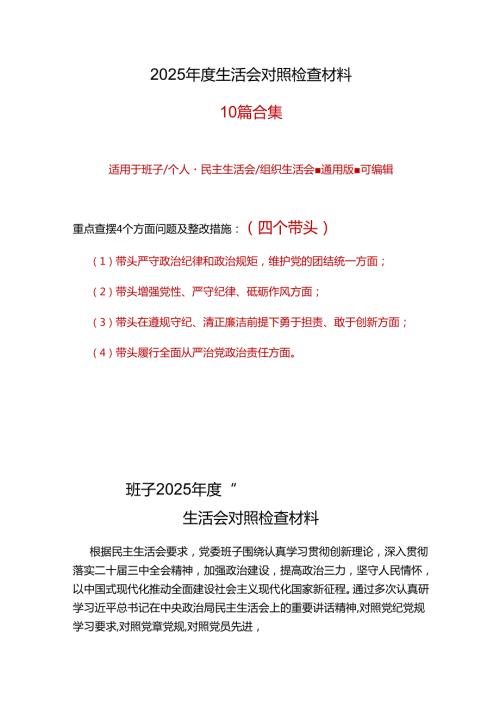 市纪委监委2025年民主生活会四个带头个人对照检查整改清单.docx