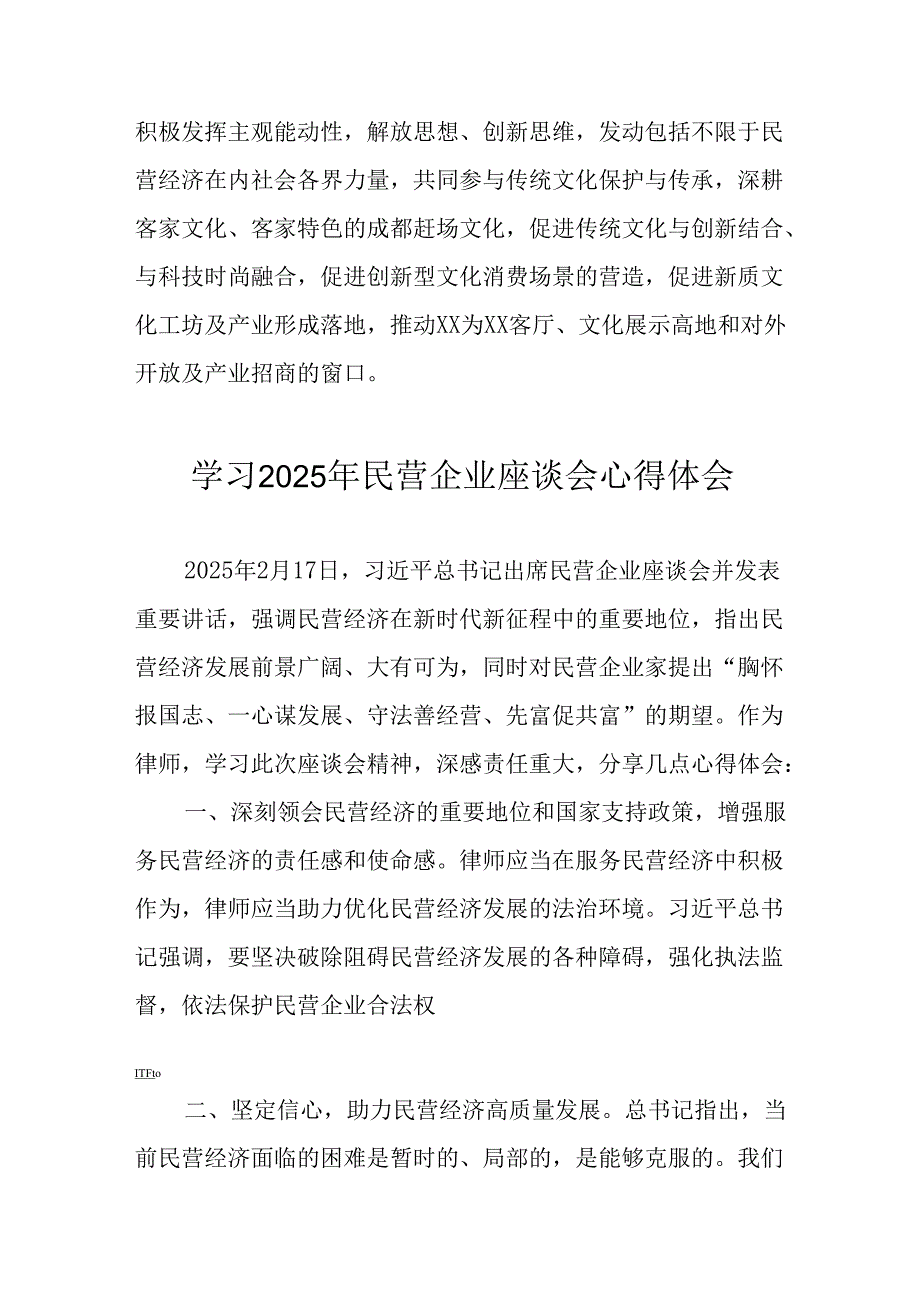 民营企业2025年学习《民营企业座谈会》个人心得感悟 （6份）65.docx_第2页
