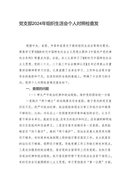 党支部2024年组织生活会个人对照检查发言.docx