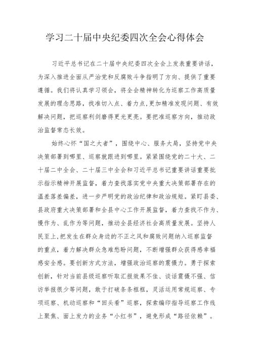 学习二十中央纪委四次全会心得体会 汇编17份.docx