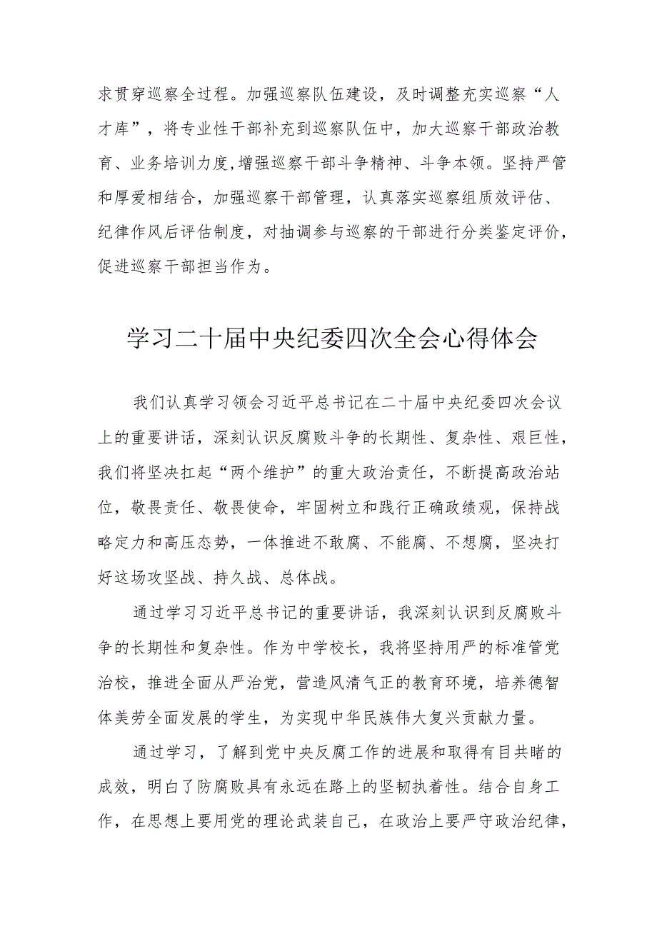 学习二十中央纪委四次全会心得体会 汇编17份.docx_第3页