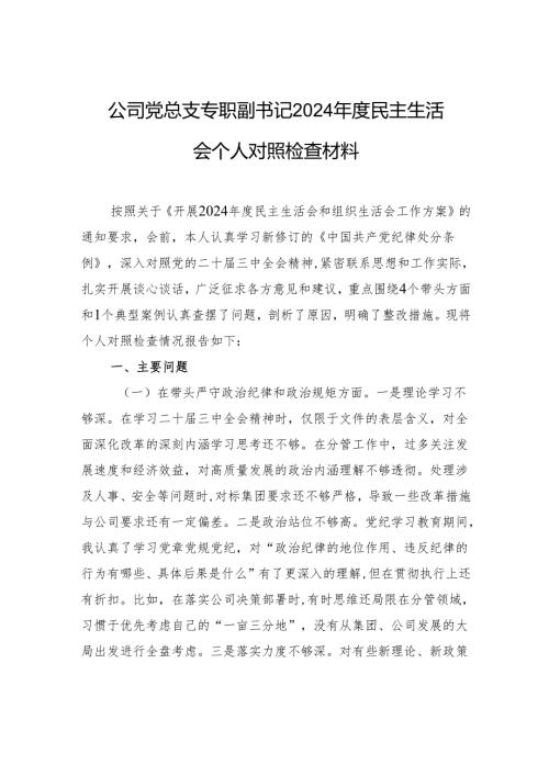 公司党总支专职副书记2024民主生活会个人对照检查材料.docx