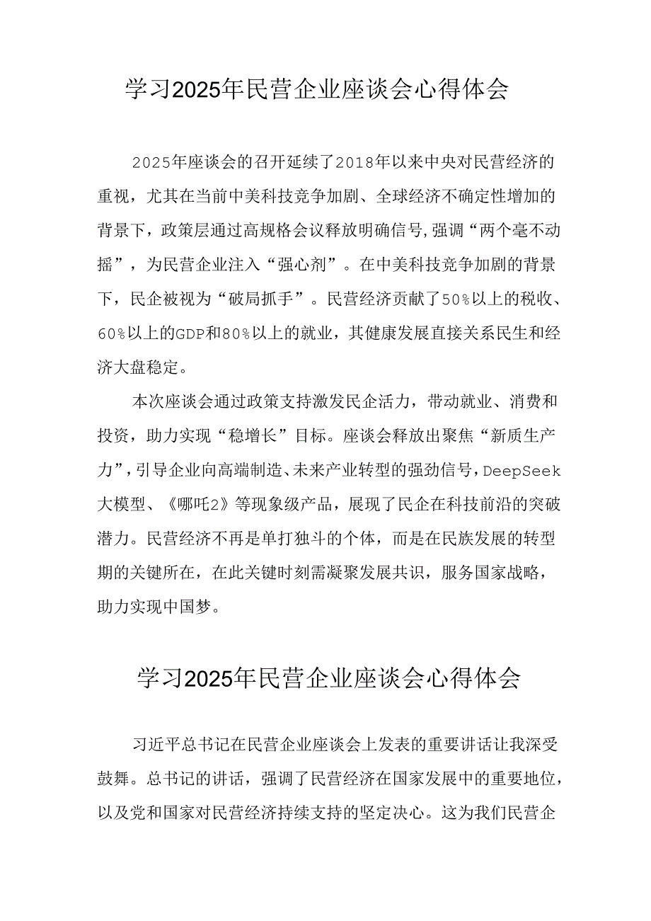 2025年私营企业学习民营企业座谈会个人心得感悟(3).docx_第2页