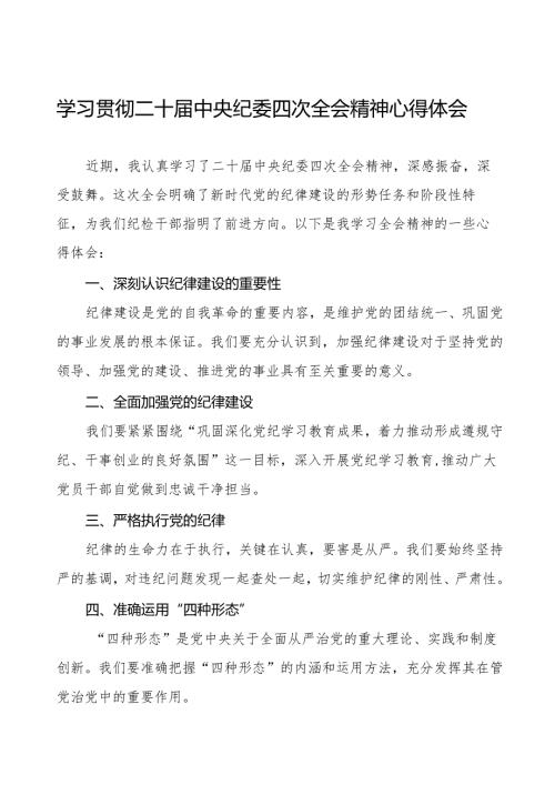 纪检干部学习二十中央纪委四次全会精神心得感悟十篇(1).docx