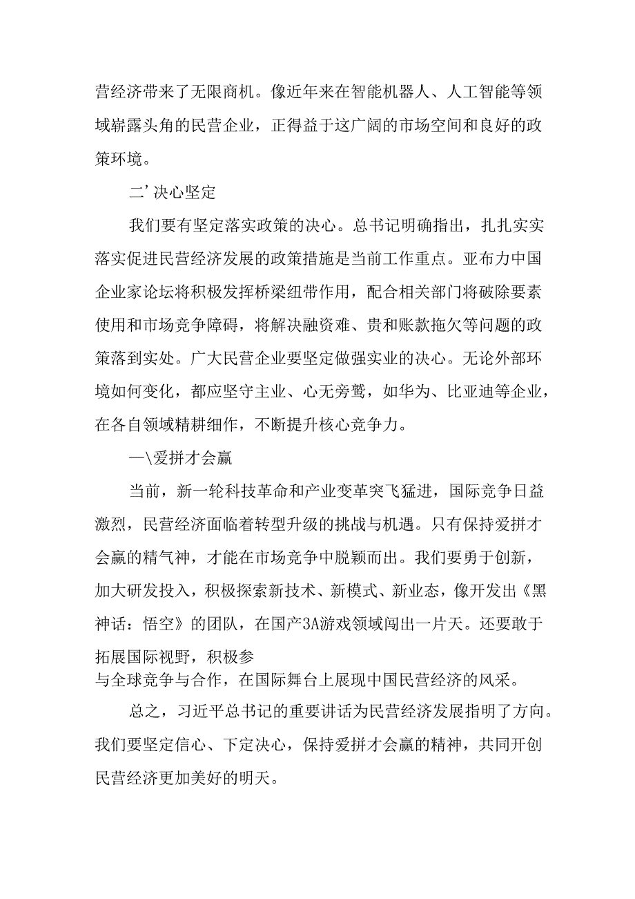 民营企业2025年学习《民营企业座谈会》个人心得感悟 （7份）50.docx_第3页