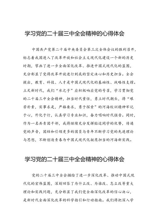 党员干部学习贯彻党的二十三中全会精神心得体会样本六十篇.docx
