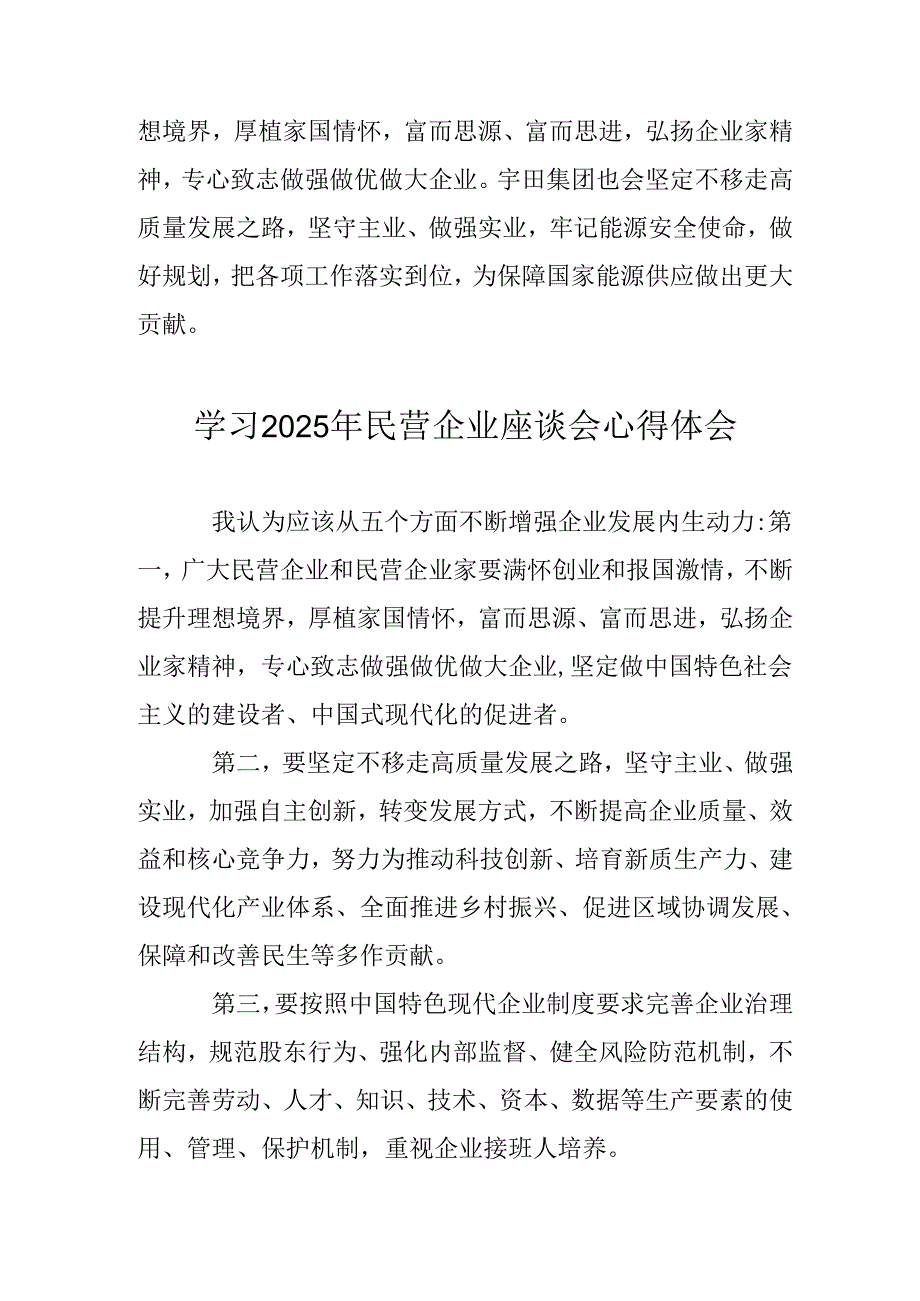 民营企业2025年学习《民营企业座谈会》个人心得感悟 汇编6份.docx_第2页