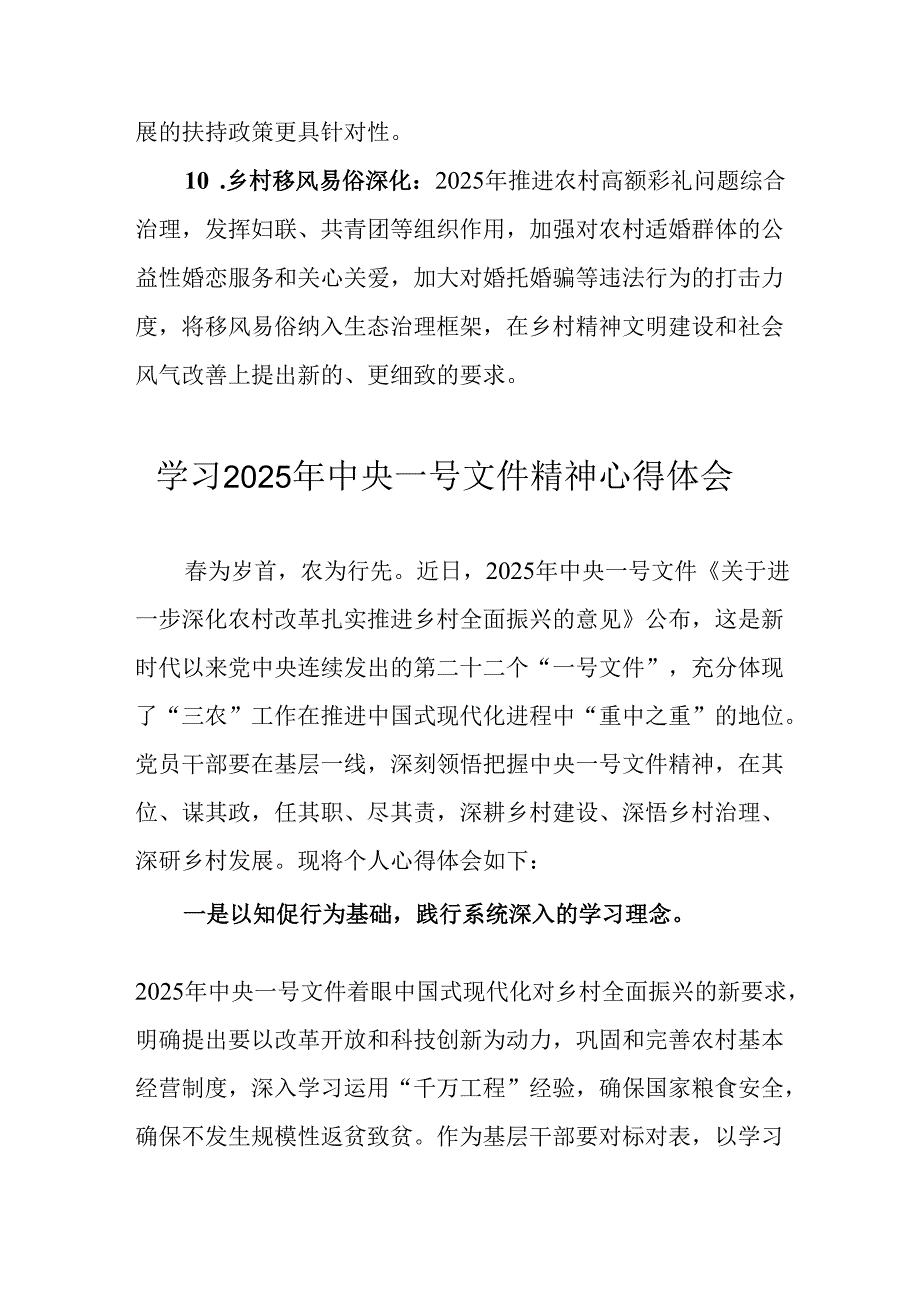 学习2025年《中央一号文件》精神心得体会 （合计2份）.docx_第3页