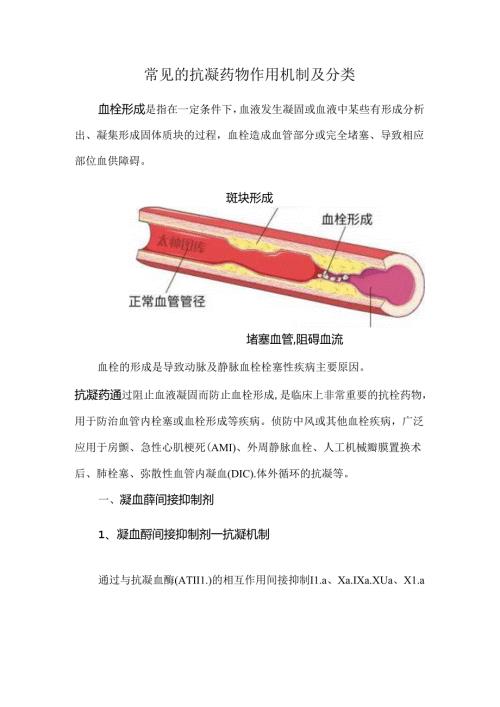 常见的抗凝药物作用机制及分类.docx