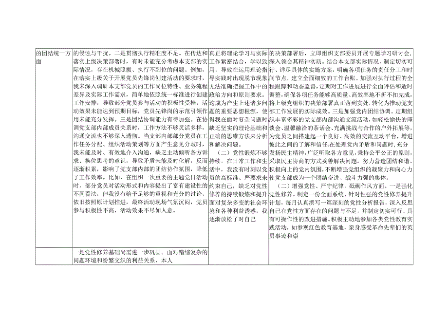2025年党支部书记专题组织生活会对照检视问题台账（四个带头）.docx_第2页