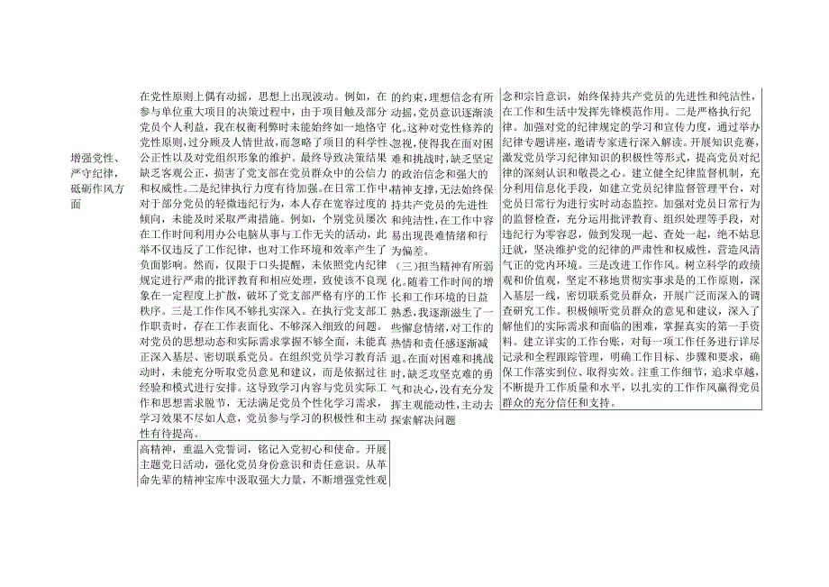 2025年党支部书记专题组织生活会对照检视问题台账（四个带头）.docx_第3页