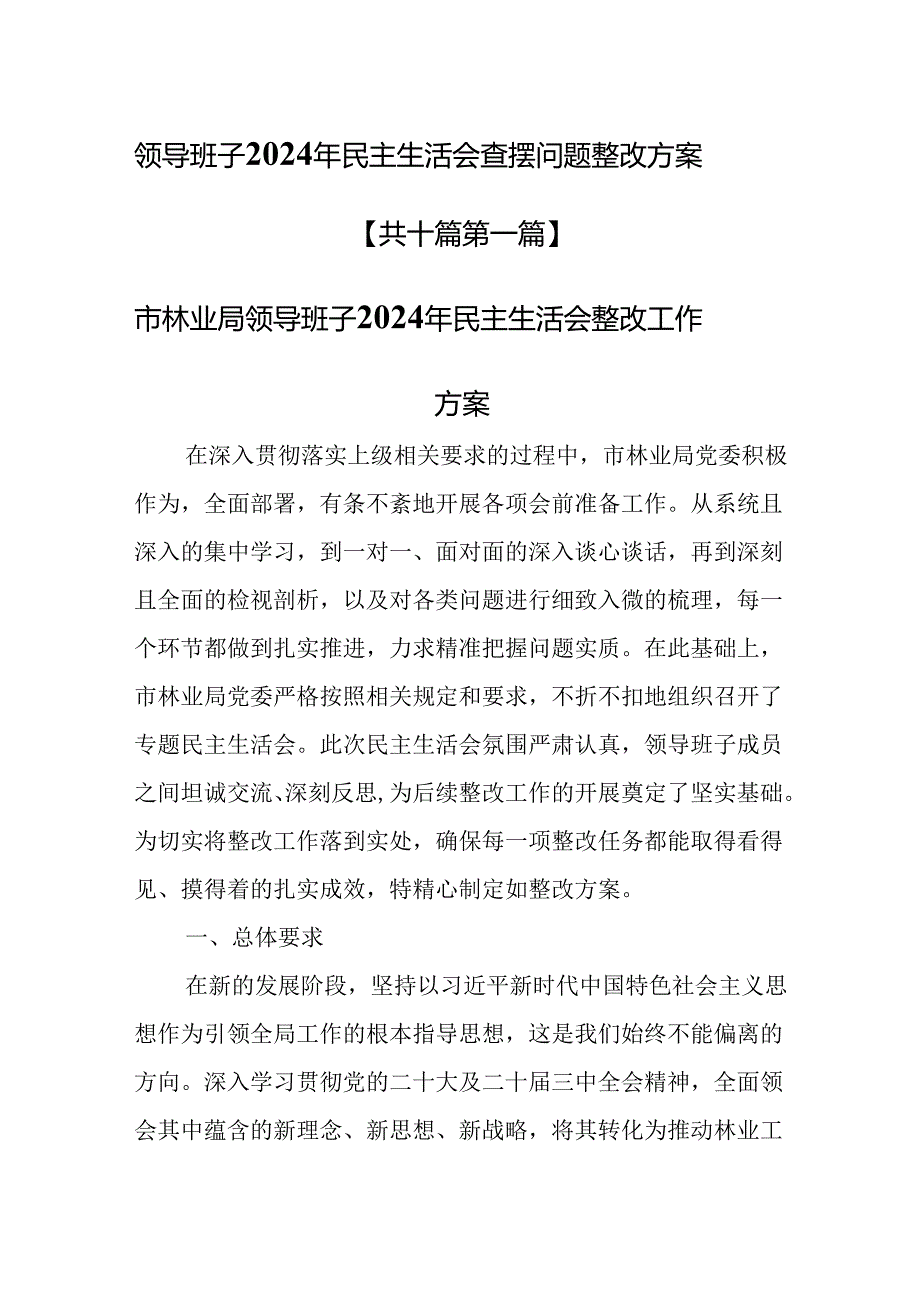 （10篇）领导班子2025年民主生活会查摆问题整改方案.docx_第1页