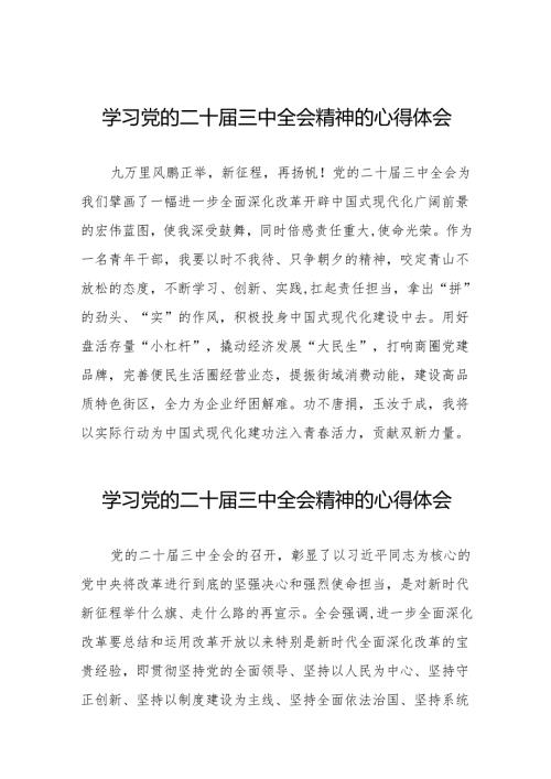 关于2024年党的二十三中全会精神的学习体会交流发言36篇.docx