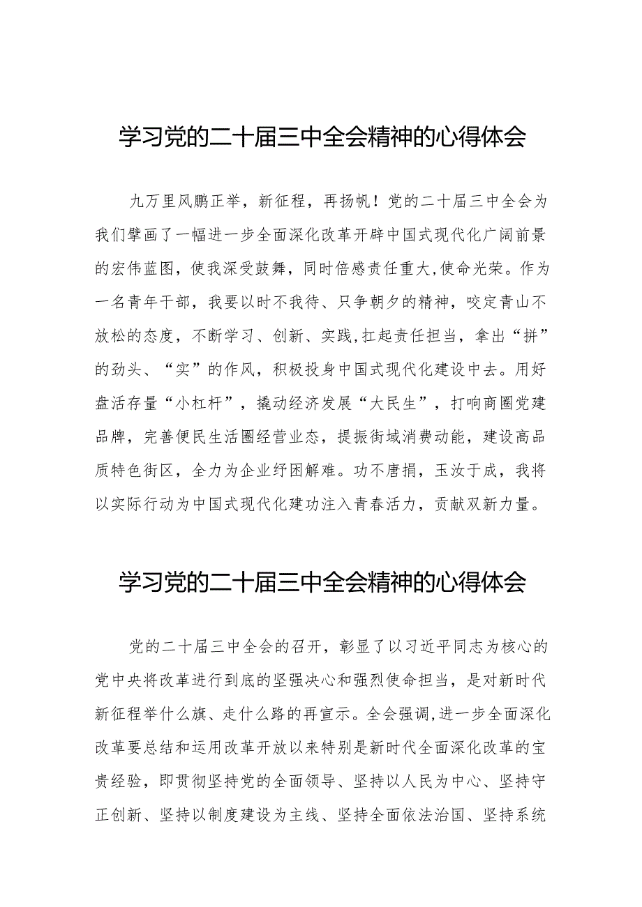 关于2024年党的二十三中全会精神的学习体会交流发言36篇.docx_第1页