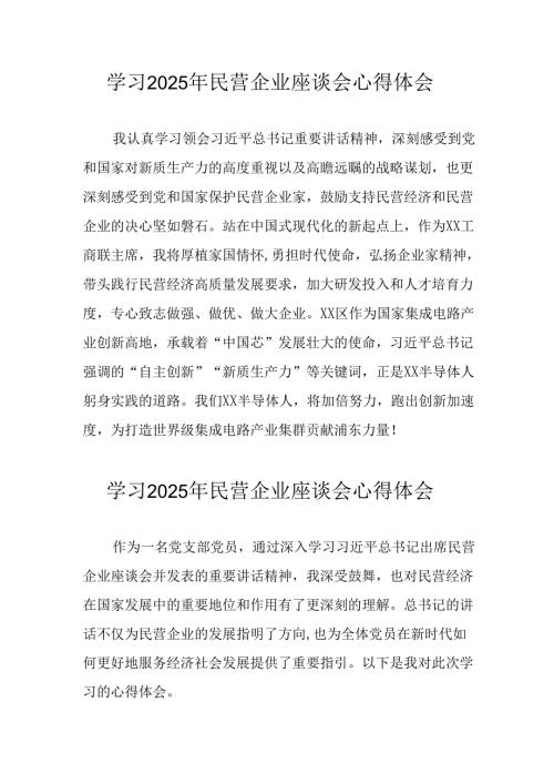 民营企业2025年学习《民营企业座谈会》个人心得感悟 （5份）95.docx