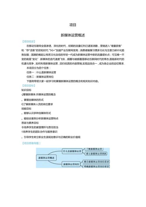 《新媒体营销》教材——项目一 新媒体运营概述.docx