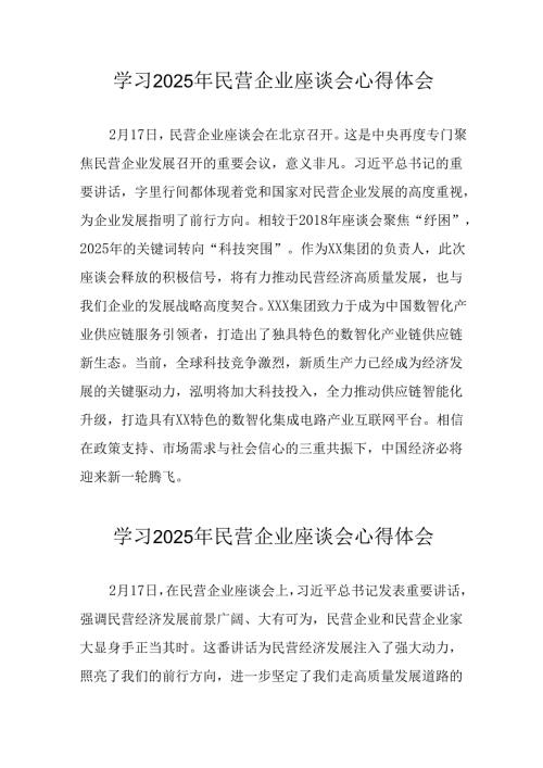 民营企业2025年学习《民营企业座谈会》个人心得感悟 （5份）81.docx
