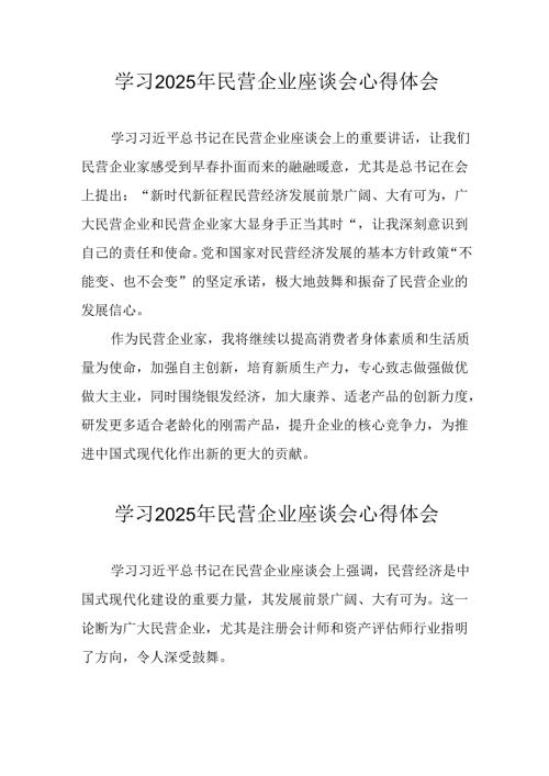 民营企业2025年学习《民营企业座谈会》个人心得体会 （7份）.docx