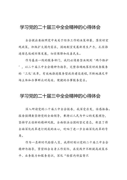 深入学习贯彻2024年党的二十三中全会精神的心得体会58篇.docx