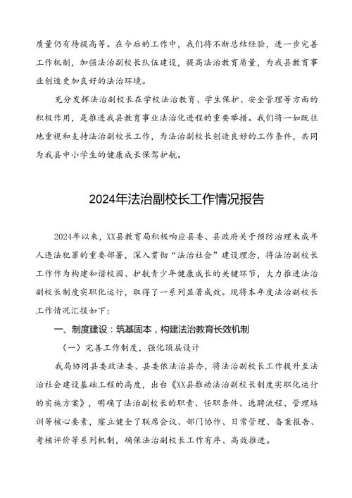 2024法治副校长工作总结汇报8篇.docx