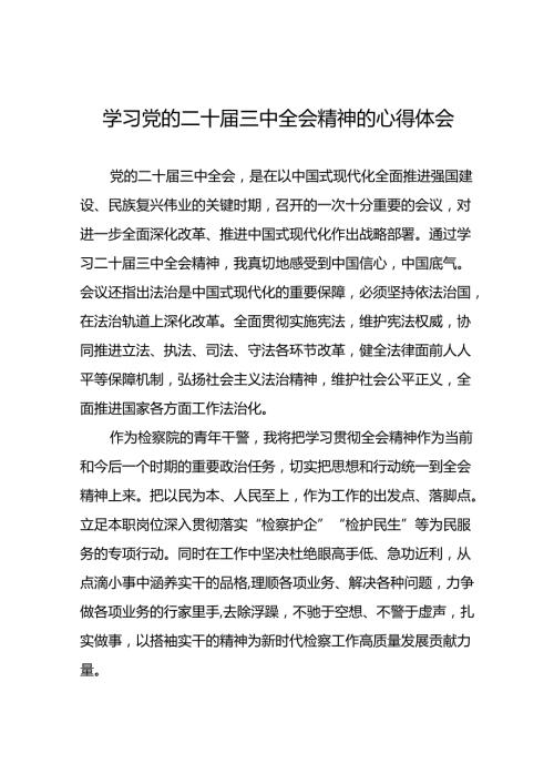 精品范文2024年党的二十三中全会精神学习体会交流发言稿58篇.docx