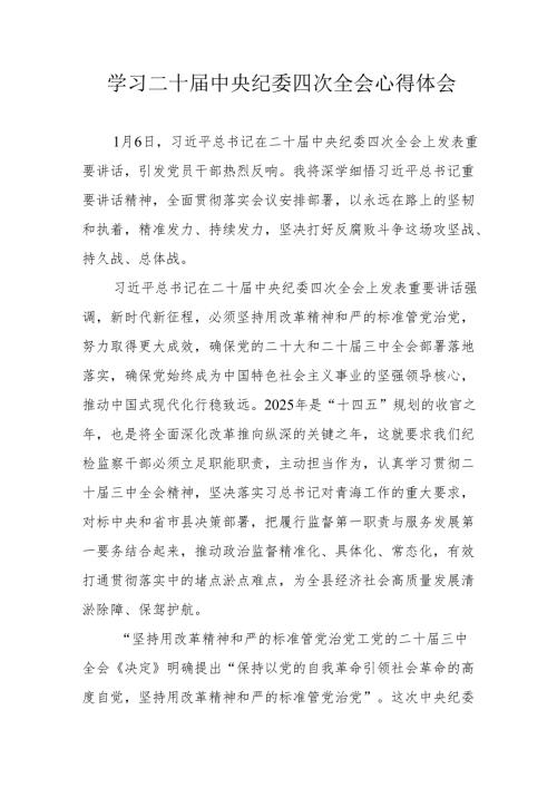 学习《二十中央纪委四次全会》个人心得体会 （16份）.docx