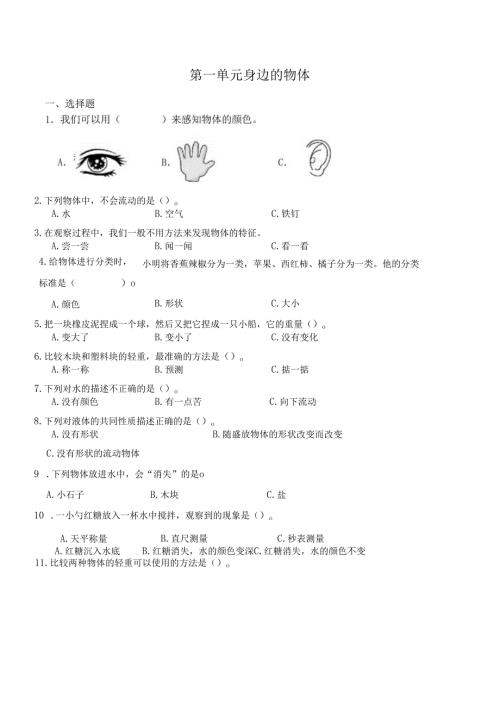 （2025新版本）教科版一年级下册科学试卷.docx