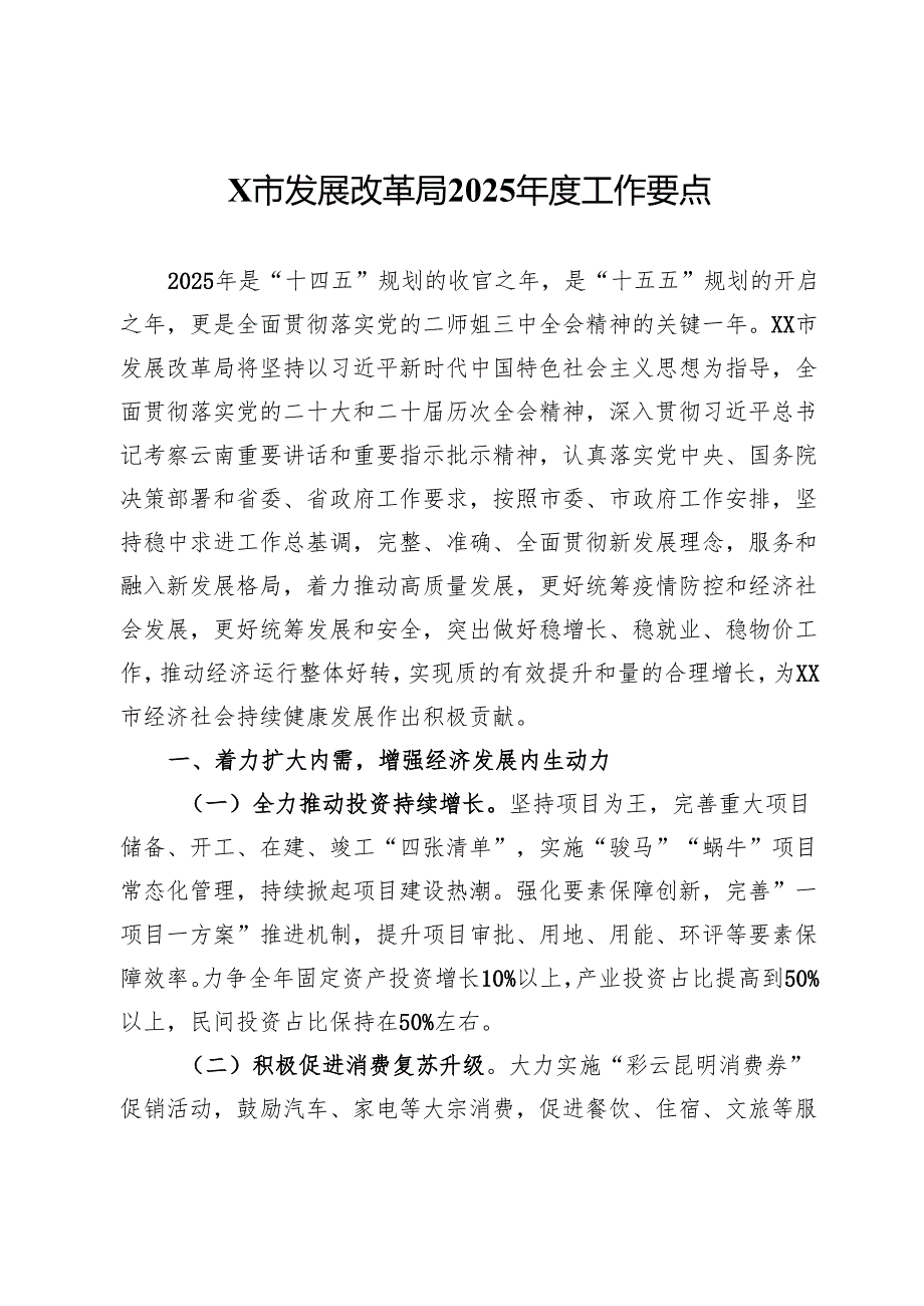 某市发展改革局2025工作要点.docx_第1页