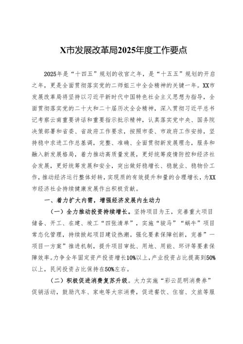 某市发展改革局2025工作要点.docx