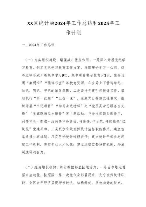XX区统计局2024年工作总结和2025年工作计划.docx