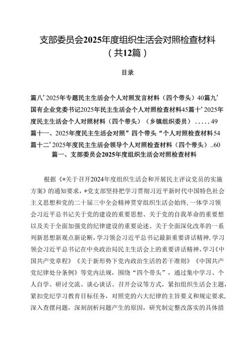 （12篇）支部委员会2025组织生活会对照检查材料详细版.docx