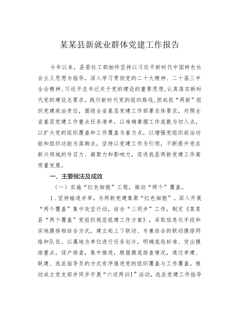 某某县新就业群体党建工作报告.docx_第1页