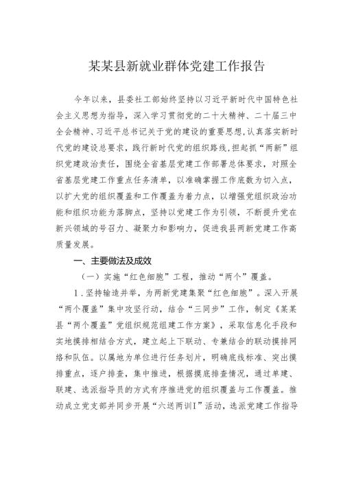 某某县新就业群体党建工作报告.docx
